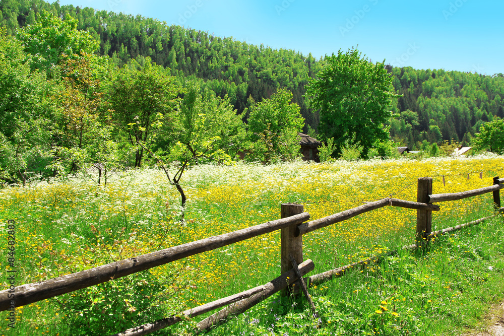 Wooden fence along beautiful meadow over mountain with grove of green trees