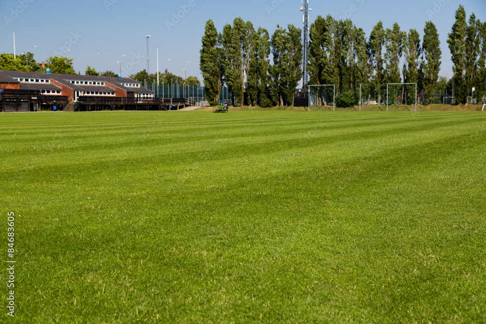 Obraz premium Soccer pitch