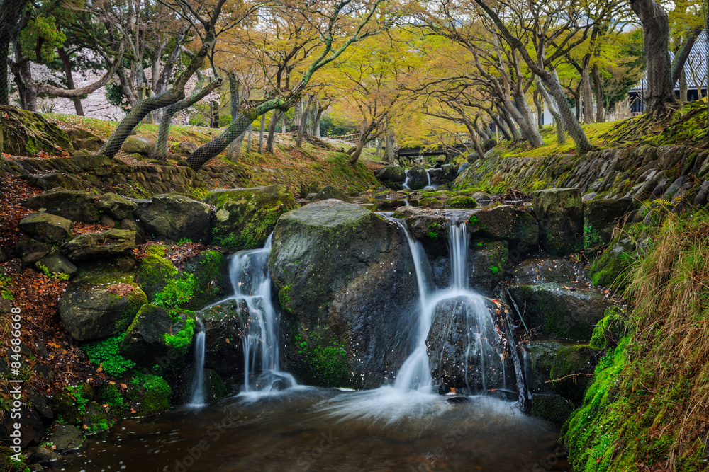 Obraz premium waterfall garden