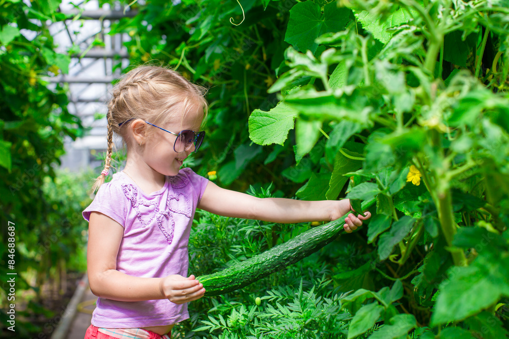 Adorable little girl collecting crop cucumbers in the greenhouse Adorable little girl collecting crop cucumbers in the greenhouse