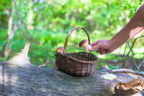 Foto Wicker basket full of mushrooms in a forest