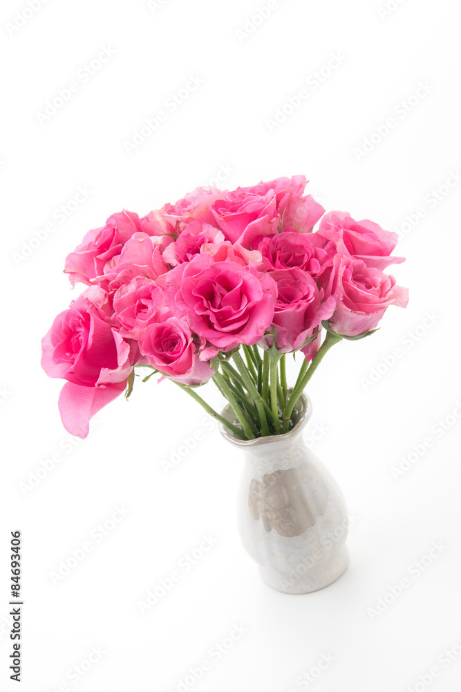 pink rose pink rose