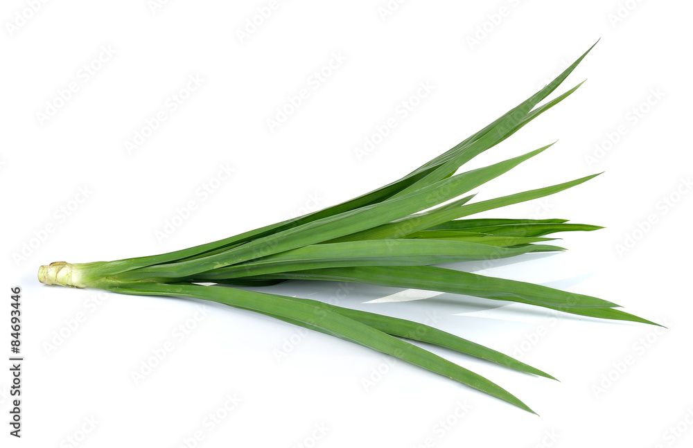Fresh Pandan leaves isolated on white background Fresh Pandan leaves isolated on white background