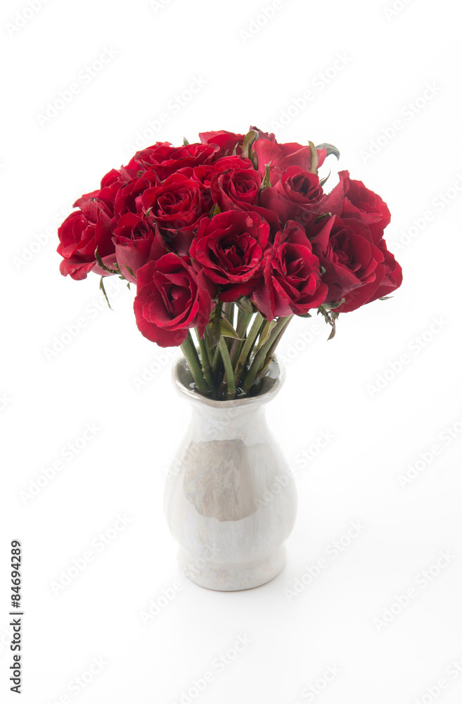 Fototapeta premium red rose
