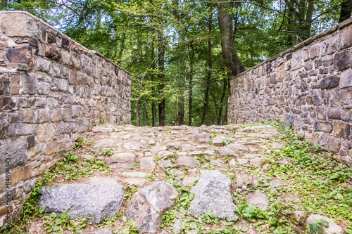 scenes around landsford canal state park in south carolina photo