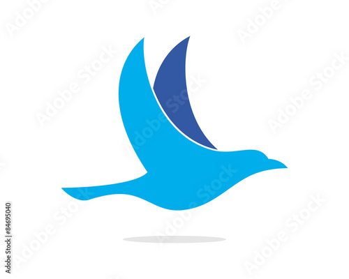 Bird Flying