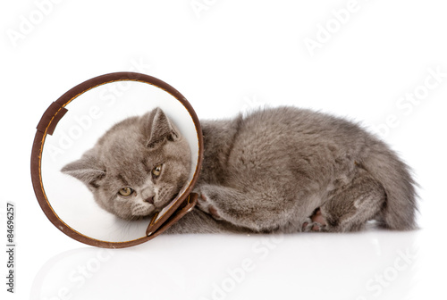 Fototapeta Naklejka Na Ścianę i Meble -  sad kitten wearing a funnel collar. isolated on white background