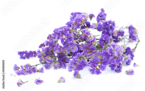 Bunch of purple flowers on white background