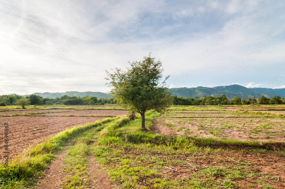 Plowed farmland with mountain background.