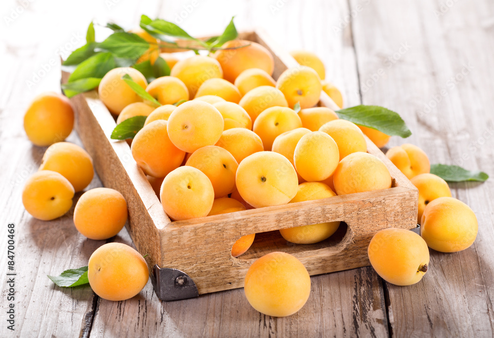 fresh apricots fresh apricots