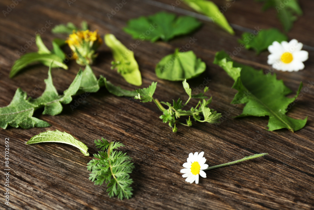 Various medicinal plants on wooden background Various medicinal plants on wooden background
