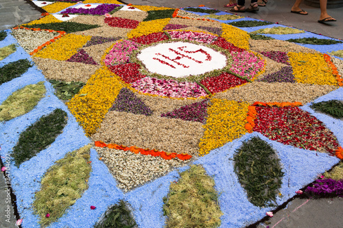 petal and flower carpet for corpus domini christi celebration photo