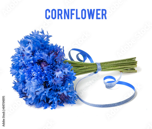 cornflower bouquet isolated