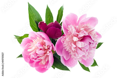 Pink peony bouquet