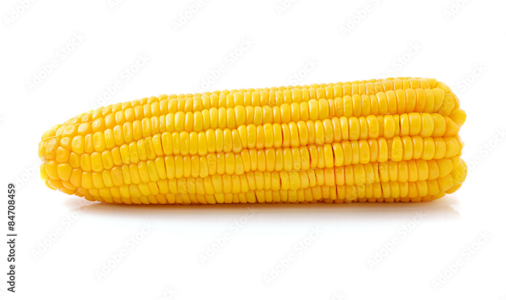 Corn on white background Corn on white background