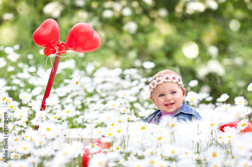 Mollerwagen im Blumenmeer photo