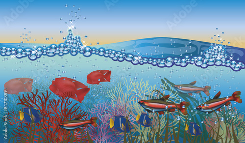 Underwater tropical background  vector illustration