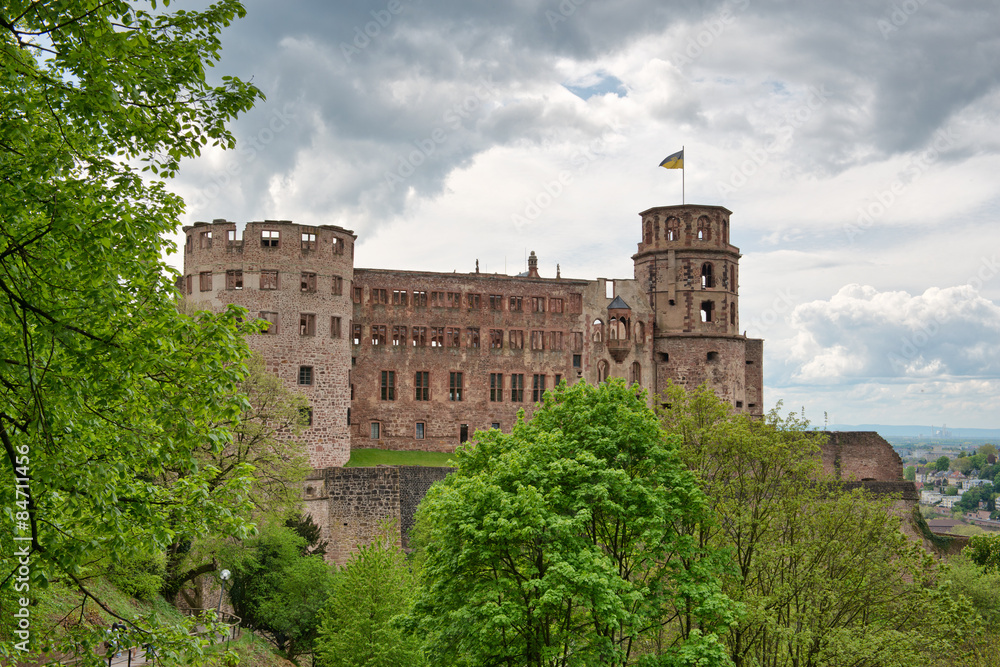 Green vegetation in front of Heidelberg Castle