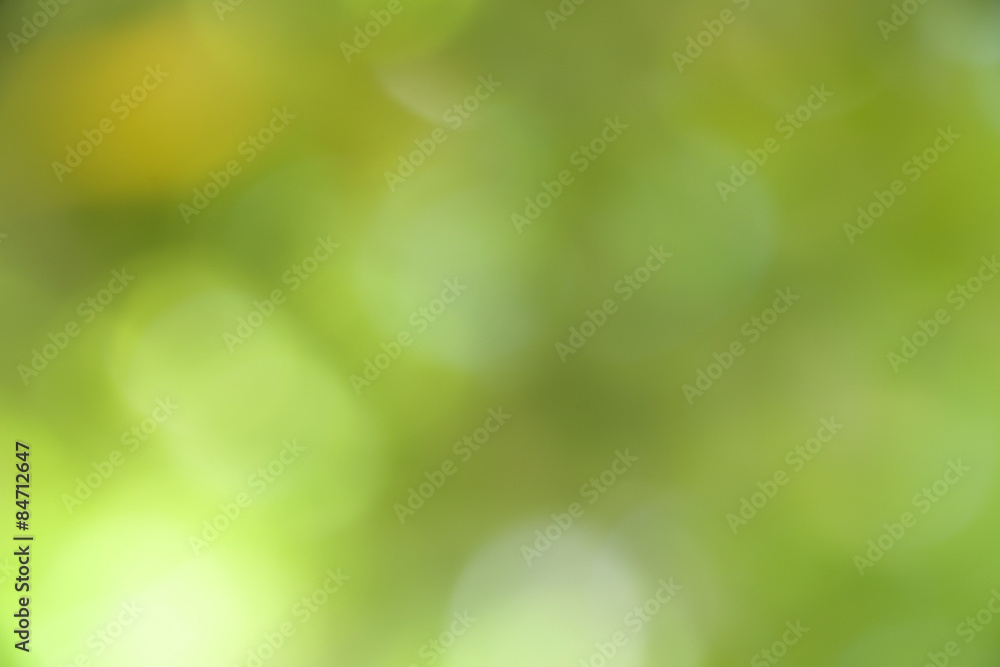 Obraz premium green bokeh from tree can be used as background