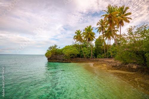 Tropical island before sunset with palm trees