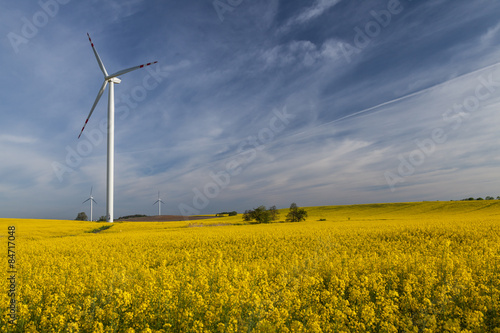 Wind turbines on a rape meadow (Poland)