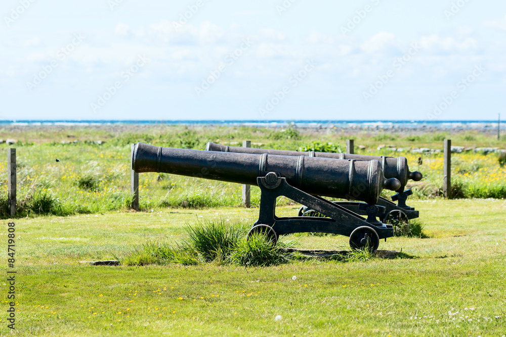 Cannons