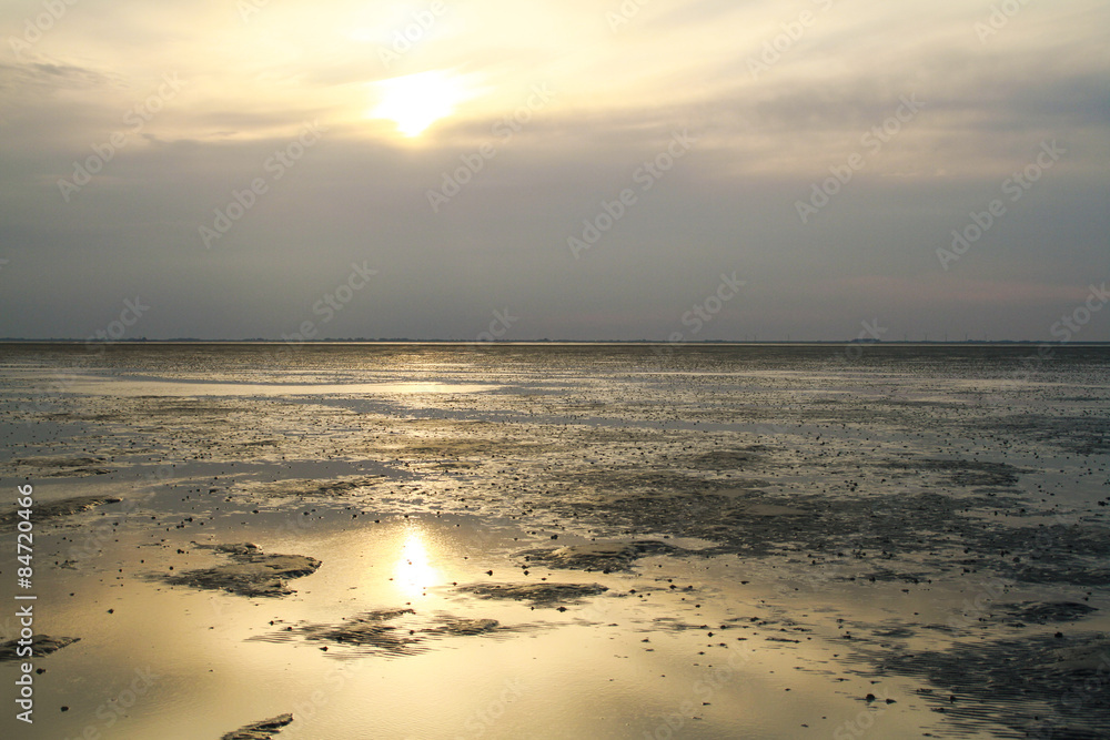 Wattenmeer, Schleswig-Holstein, Deutschland Wattenmeer, Schleswig-Holstein, Deutschland