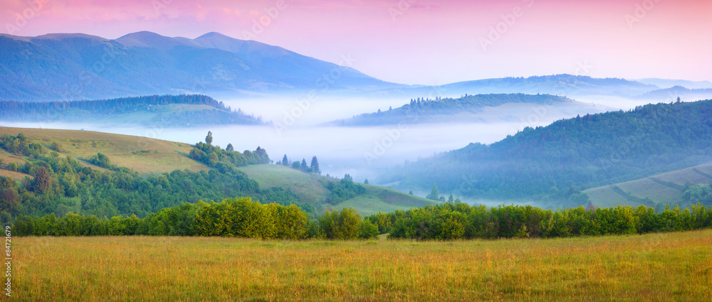 Panorama of the sunny summer morning in the foggy mountains
