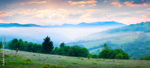 Colorful summer morning in the foggy Carpathian mountains