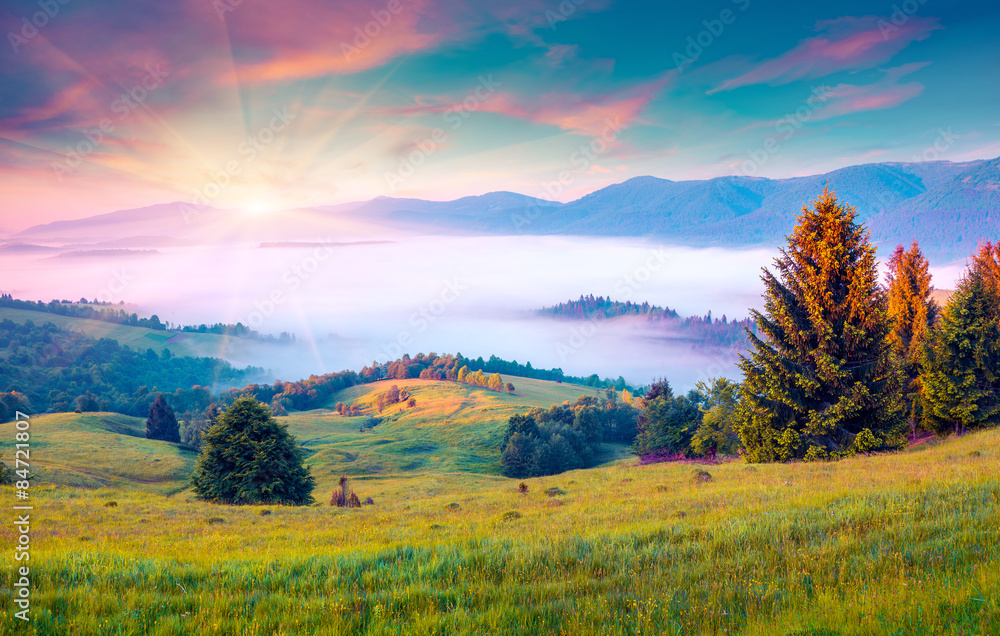 Sunny summer morning in the foggy Carpathian mountains.