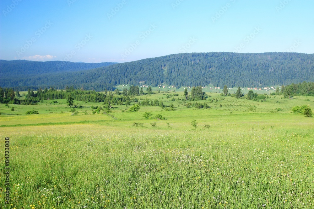 Mountain landscape with meadows, village and forest