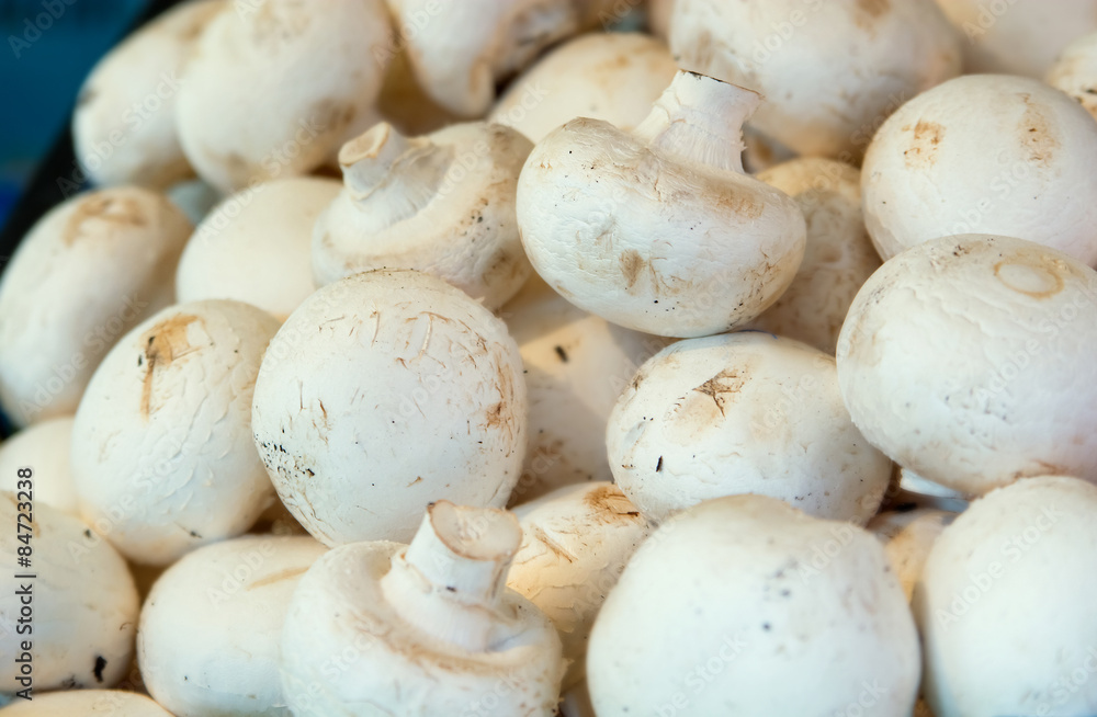 mushrooms at the farmers market, close up