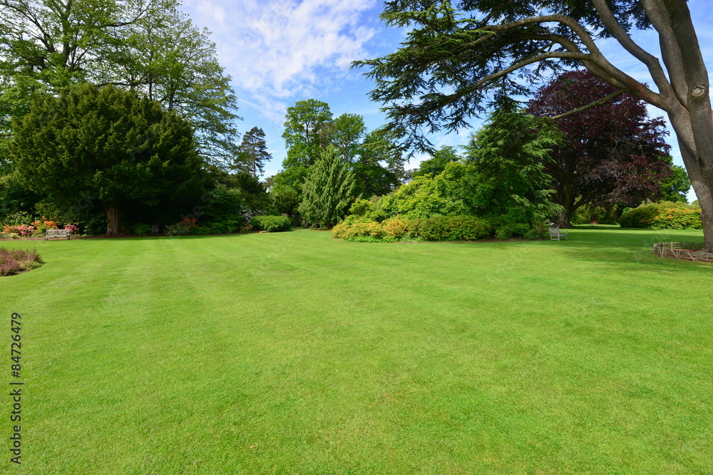 A burnt out English country estate and gardens in June 2015