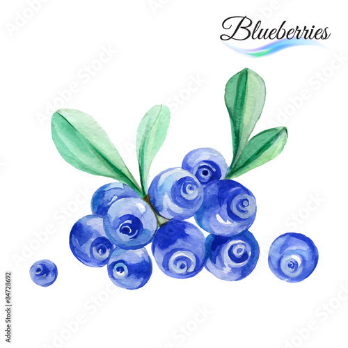 Blueberries