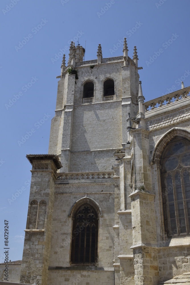 Catedral de San Antolín (Palencia). Vista de la torre.