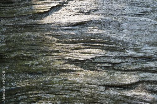 versteinertes Holz