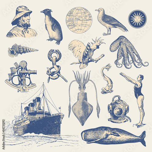 collection of nautical design elements