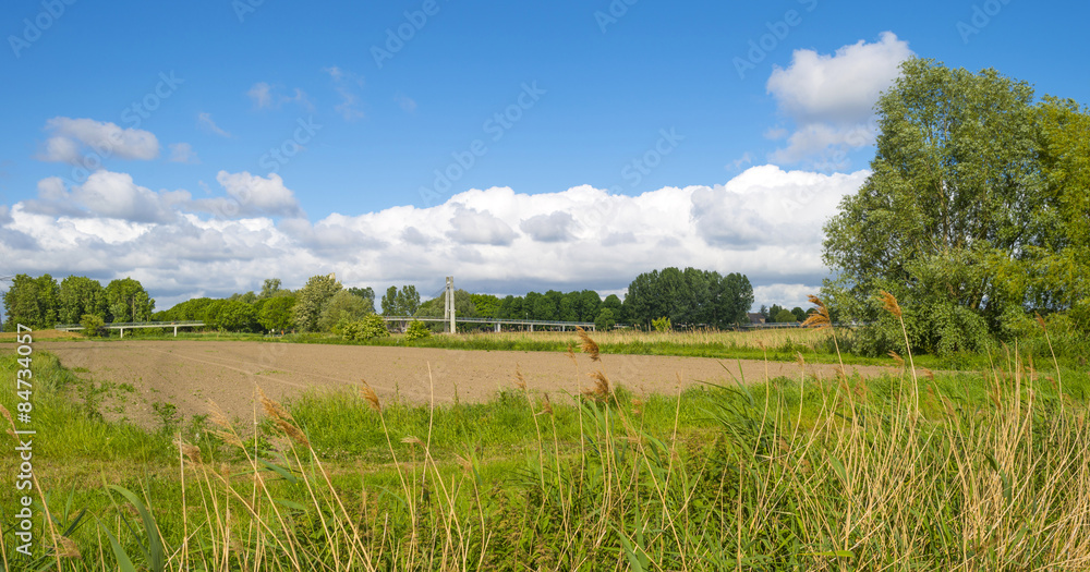 Bridge in a rural landscape in spring Bridge in a rural landscape in spring