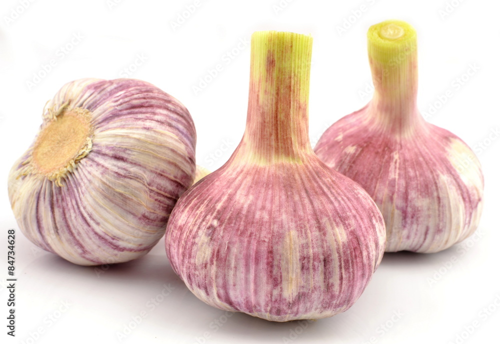 Obraz premium czosnek