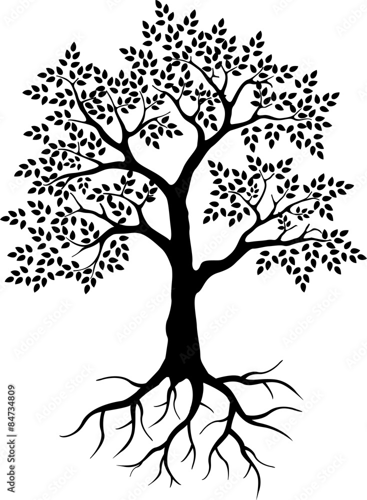 Fototapeta premium tree silhouette for you design