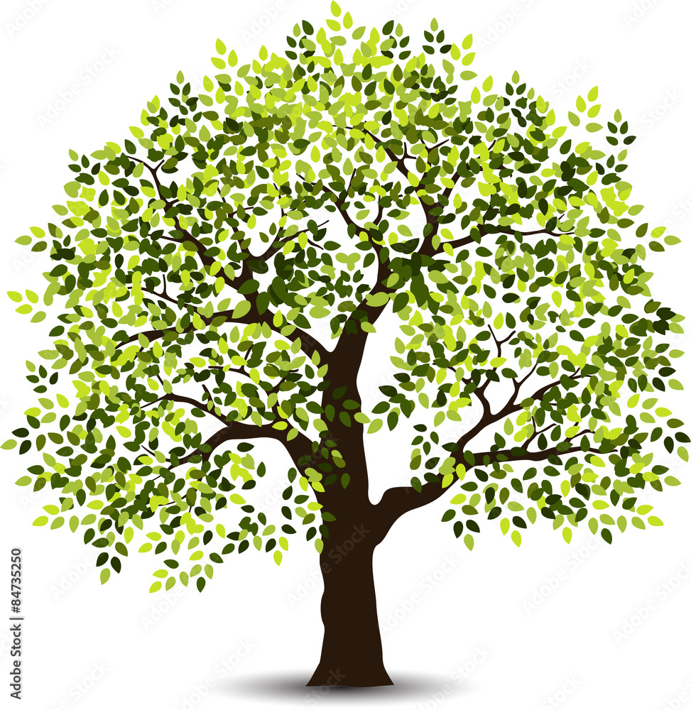 Obraz premium tree vector for you design