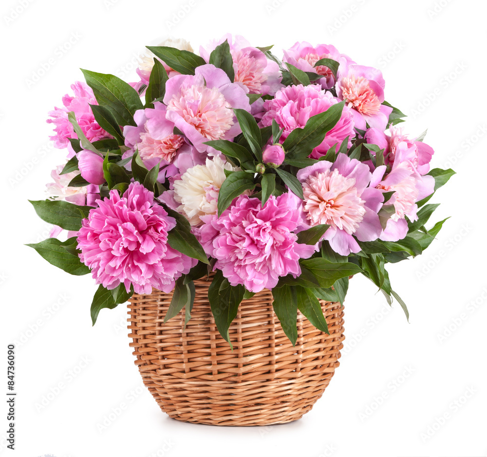 Obraz premium Bouquet peons in a basket isolated on a white background