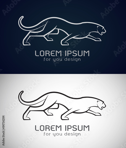 Fototapeta Naklejka Na Ścianę i Meble -  Vector image of an panther design on white background and dark b