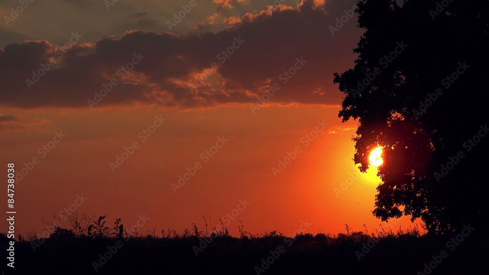 Silhouettes of Cars in Sunset Driving Through Idyllic Countryside, Rural Traffic Silhouettes of Cars in Sunset Driving Through Idyllic Countryside, Rural Traffic
