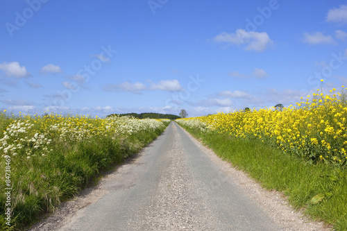 rural road through farmland