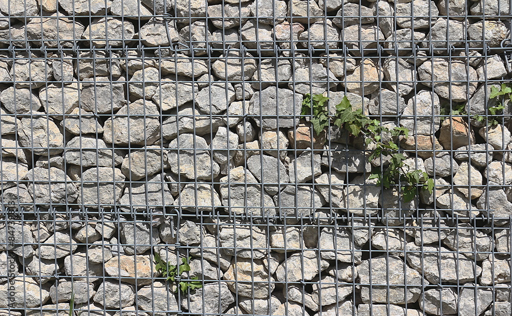 Gabione mit Efeu, Gitter mit Steinen StockFoto Adobe Stock