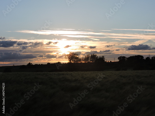 Wallpaper Mural fields sunset Torontodigital.ca