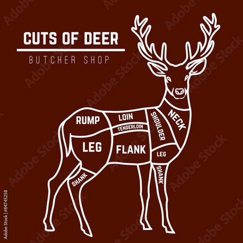 Deer meat cuts in color