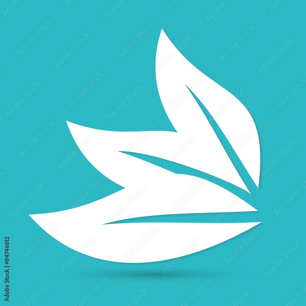 Obraz premium Leaf nature icons