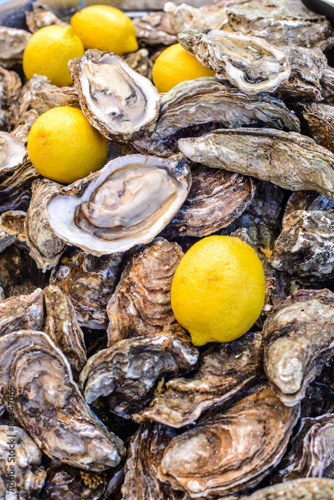 Fresh oysters on the counter/Fresh oysters and lemons on the counter of a street vendor Fresh oysters on the counter/Fresh oysters and lemons on the counter of a street vendor